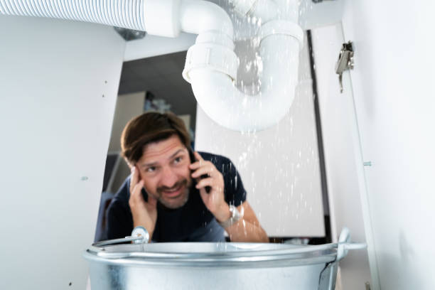 Best Local Plumber Services  in Vley Grande, AL