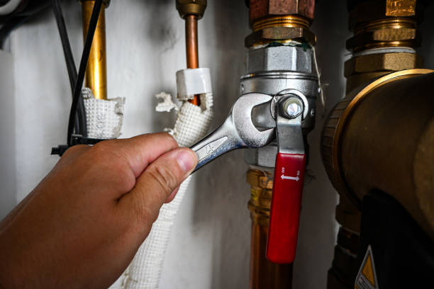 Best Commercial Plumbing Services  in Vley Grande, AL